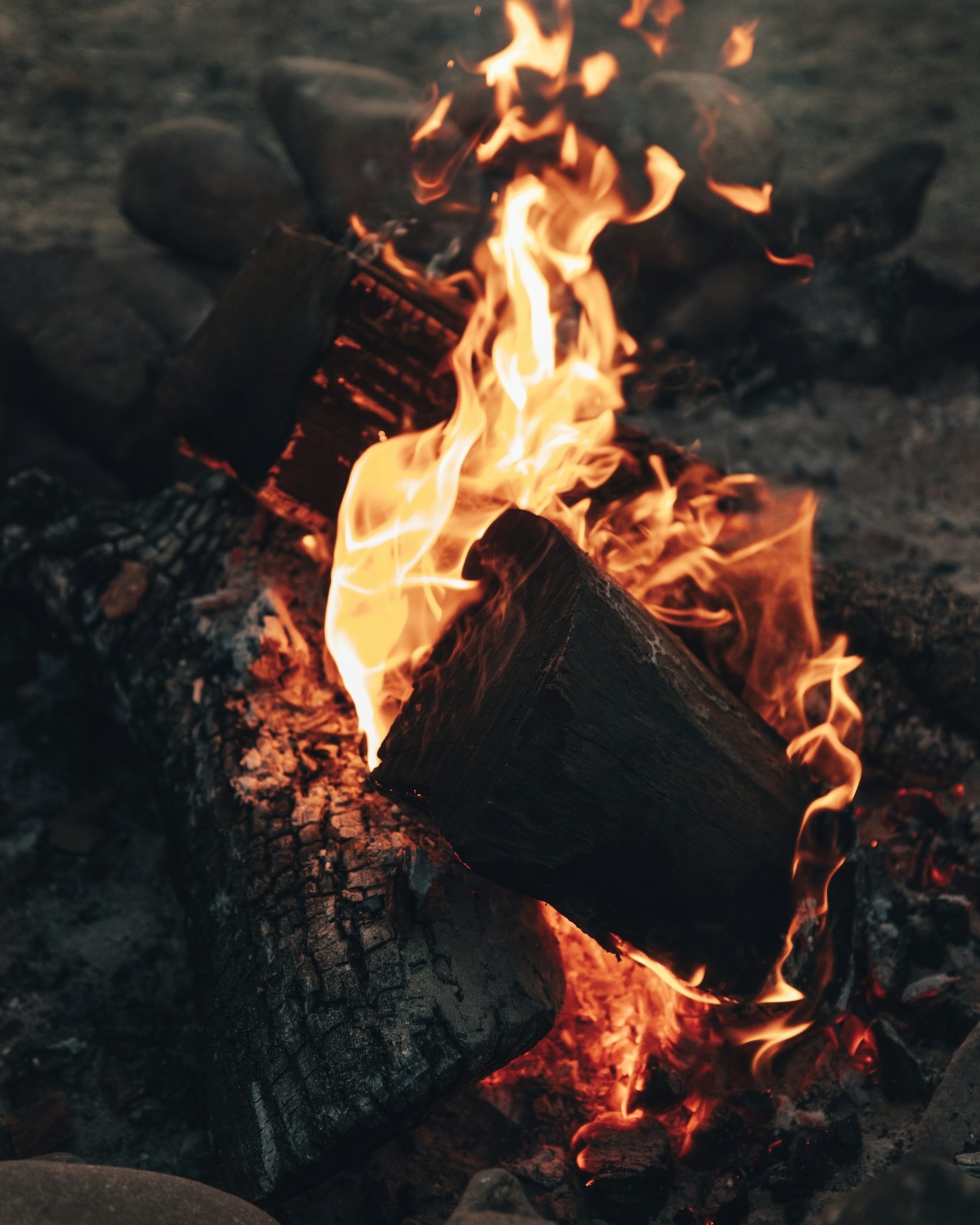 How to Build Your Ultimate Bug Out Bag