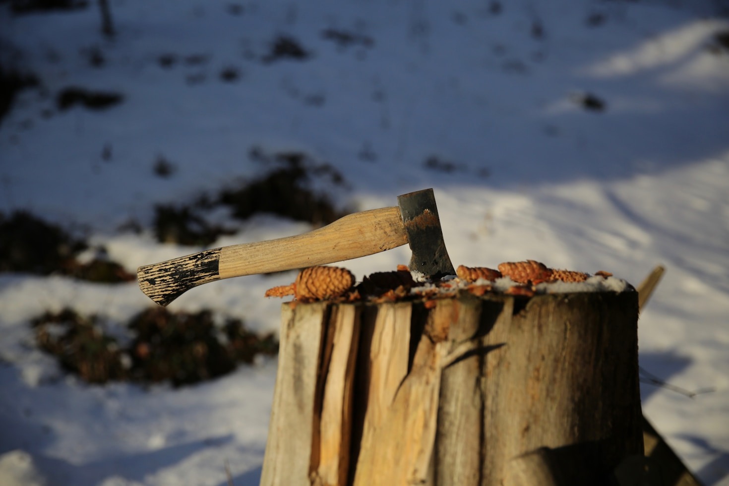 Essential Gear for Off-Grid Living