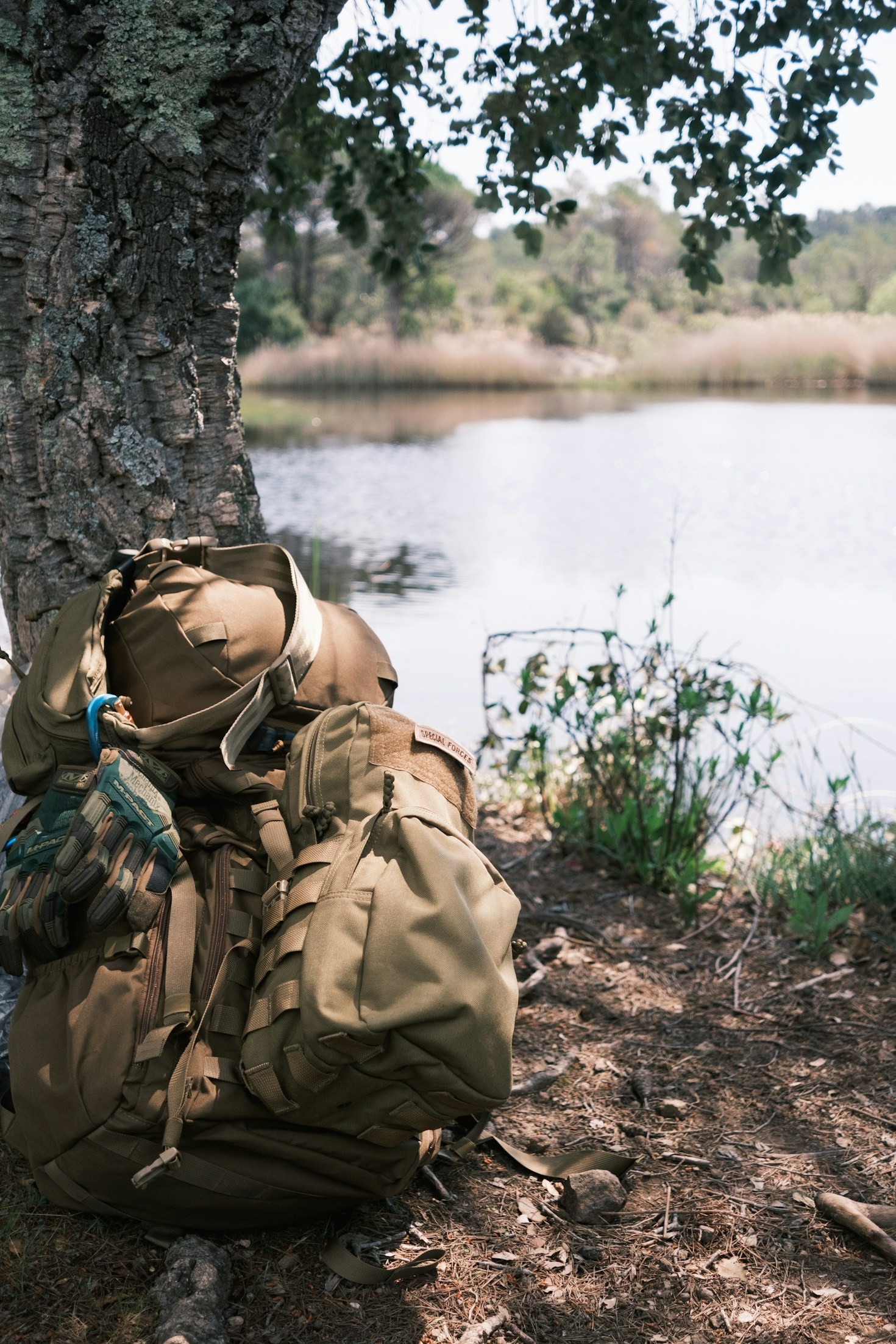 Mastering Tactical Knowledge for Survival Success